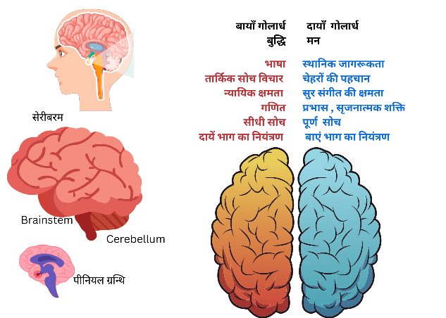 विवेकशील नियंत्रण — अध्याय 25